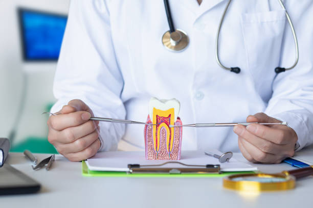 Best Emergency Treatment for Toothache in Yarrow Point, WA
